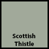 Scottish Thistle color